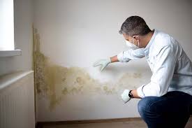 Best Mold Documentation for Insurance Claims  in Vienna Bend, LA